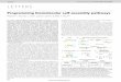 Vol 451 doi:10.1038/nature06451 LETTERS - The Pierce Labpiercelab.caltech.edu/assets/papers/nature08.pdf · disassembly reaction (3) ... 1Department of Bioengineering, 2Department