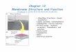 Chapter 12 Membrane Structure and Functionrcarlson/bcmb3100/Chap12.pdf · Chapter 12 Membrane Structure and Function ... delivery. Permeability of ... 12.4 Diffusion of Membrane Lipids