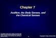 Audition, the Body Senses, and the Chemical Sensesocconline.occ.cccd.edu/online/lattore/Chapter 7 slideshow.pdf54 Copyright © Allyn & Bacon 2004 Copyright © Allyn & Bacon 2004. Title: