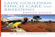 Lady Gouldian Finch Care and Breeding Expert · PDF fileIntroduction Many people have been so overwhelmed by the amazing beauty of Lady Gouldian finches that they proceed to purchase