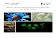 MSc in Plant and Fungal Taxonomy, Diversity and Conservation in Plant and Fungal... · Students will receive excellent research supervision during ... in Plant and Fungal Taxonomy,
