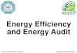 Energy Efficiency and Energy Audit