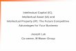 Intellectual Capital (IC), Intellectual Asset (IA) and Intellectual · PDF file · 2009-09-22Intellectual Asset (IA) and Intellectual Property ... I feel I can share my experience
