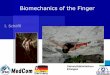 Biomechanics of the Finger - Denver, · PDF fileBiomechanics of the Finger I. Schöffl . 2 One move too many ... (C1, C2, and C3) 3 One move too many ... the finger. Eccentric Motion