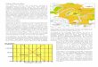 Urban Hierarchies - · PDF fileUrban Hierarchies The ability to identify and understand existing or ... Urban Functions Cities tend to grow or shrink in terms of importance and population