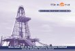 ANNUAL REPORT 2010-11 - Shiv-Vani Oil & Gas … report/AnnualReport2010-11...Annual Report - 2010-11 1 DIRECTORS' REPORT Dear Members, Your Directors are pleased to present 20th Annual
