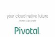 Cloud Native Future