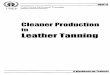 LealherTanning - · PDF fileLealherTanning (l A Workbook for TraiDers ... 5.2 Answers to the work exercises V: 1 7 Part VI Leather Finishing ... Work exercises are predominantly based