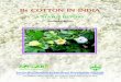 Bt Cotton in India-09 - APAARI · PDF fileBt COTTON IN INDIA A STATUS REPORT Asia-Pacific Consortium on Agricultural Biotechnology (APCoAB) Asia-Pacific Association of Agricultural