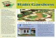 earth-wise guide to Rain Gardens - Austin, Texas guide to Rain Gardens What is a rain garden? A rain garden is a shallow, vegetated depression designed to absorb and filter runoff