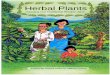 Herbal Plants - · PDF fileHerbal Plants Keeping Our ... Objectives: 1. ... such as herbal treatments, food preparations, and handicraft, and traditional culture like folk tales, songs,