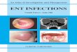 An Atlas of Investigation and Management Paleri • Hill ENT ... Infections chp 1.pdf · An Atlas of Investigation and Management Paleri • Hill ENT INFECTIONS An illustrated guide