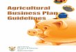 Agricultural Business Plan Guidelines - nda.agric.zanda.agric.za/doaDev/sideMenu/cooperativeandenterprisedevelopment... · 4.1 Overview of agricultural business plan guidelines 