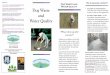 Dog Waste and Water Quality -   · PDF fileDog Waste andJohnson,Carolyn. 1999. Pet Waste and Water Quality Water Quality Phone: 406-582-3168 Web:   215 W. Mendenhall, Suite 300