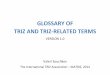GLOSSARY OF TRIZ AND TRIZ-RELATED TERMS GLOSSARY OF TRIZ AND TRIZ-RELATED TERMS 1.0 The Glossary of TRIZ and TRIZ-Related Terms is intended for 