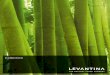 LEV catalogo Collection CAST ING - Levantina auto limpiante Self-cleaning treatment Before / Antes After / Después FORMATS / FORMATOS 40 x 40 x 2 cm 40 x 40 x 3 cm 60 x 30 x 2 cm