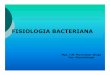 4 .- CLASE 11 de Abril FISIOLOGIA BACTERIANA - · PDF fileFISIOLOGIA BACTERIANA oEl estudio de las funciones realizadas por los microorganismos. La función fundamental de todo ser