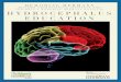 MISCHER NEUROSCIENCE INSTITUTE AND HYDROCEPHALUS …neuro.memorialhermann.org/uploadedFiles/_Library_Files... ·  · 2017-01-30he multidisciplinary team at the Mischer Neuroscience