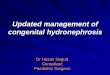 Updated management of congenital hydronephrosis urology/UPJ obstruction.pdf · Bladder: Abnormalities of the ... Ultrasound kidneys & urinary tract No Hydronephrosis Confirmed hydronephrosis