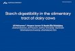 Starch digestibility in the alimentary tract of dairy cowsold.eaap.org/Previous_Annual_Meetings/2012Bratislava/...AARHUS UNIVERSITY EAAP 2012 Bratislava Starch digestibility in the