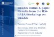 BECCS status & gaps: Results from the IEA- IIASA · PDF fileBECCS status & gaps: Results from the IEA-IIASA Workshop on BECCS Sabine Fuss (ESM, IIASA) ... different technology contexts: