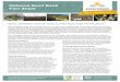 National Seed Bank Fact Sheet - Australian Alps National · PDF fileNational Seed Bank Fact Sheet. Summary of species and key findings 1 2 3 4 5 6 7 8 9 10 11 12 13 This research project