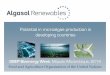 Potential in microalgae production in developing · PDF file35 g/m2*day and oil content of 40%. Liters per hectare Palm Algae ... Algasol enables access to numerous multibillion dollar