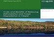 Costs and Benefits of Reducing Deforestation and Forest ...lib.icimod.org/record/32539/files/WP 2017-5.pdfi Costs and Benefits of Reducing Deforestation and Forest Degradation in Nepal