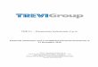 TREVI – Finanziaria Industriale S.p.A. · PDF fileTREVI – Finanziaria Industriale S.p.A. ... Consolidated Statement of Financial Position, ... At the current date