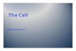 Discovery of Cells - JUfiles – ملفات الجامعات الاردنيةjufiles.com/wp-content/uploads/2016/05/02.The-Cell.Lab...Two Cell types Prokaryotic Cells do not have an