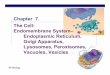 Chapter 7. The Cell: Endomembrane System– …explorebiology.com/documents/11Ch07organelles22005a.pdfChapter 7. The Cell: Endomembrane System– Endoplasmic Reticulum, Golgi Apparatus,