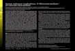 Green primary explosives: 5-Nitrotetrazolato- · PDF fileGreen primary explosives: 5-Nitrotetrazolato-N2-ferrate hierarchies ... 10322–10327 PNAS July 5, 2006 vol. 103 no. 27 cgi