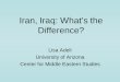Iran, Iraq: What’s the Difference? - University of Arizona · PDF fileIran, Iraq: What’s the Difference? Lisa Adeli University of Arizona. ... • Different languages (Iran’s