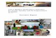 Narrative Report - UNDG · PDF fileIntroduction 1.1 Gender Scorecard of the UNCT in Maldives ... dimension, and (ii) a narrative report, in which key findings and follow-up activities