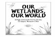 OUR WETLANDS, OURWORLD - · PDF fileOURWETLANDS, OURWORLD AHighSchoolActivityGuide toUpperNewportBay A Project of the Community-Based Restoration and Education Program Our Wetlands,Our