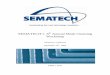 SEMATECH’s 6th Annual Mask Cleaning Workshop presentations... · an MBA from the Nordakademie in Elmshorn in 2003, he moved to Dresden to act as ... 6th Annual Mask Cleaning Workshop,