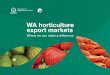 WA horticulture export markets horticulture export markets — Where we can make a diﬀ erence 1 Department of ... supply chain eﬃ ciency is of prime importance to capture this