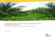Soybean and oil palm expansion in South · PDF fileSoybean and oil palm expansion in South America A review of main trends and implications Pablo Pacheco Center for International Forestry