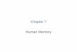 Chapter 7 Human Memory - Queensborough Community · PDF fileHuman Memory: Basic Questions •How does information get into memory? •How is information maintained in memory? •How