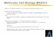 Molecular Cell Biology WS2011 - Bioinformatics Grazgenome.tugraz.at/MolecularBiology/WS11_Chapter01.pdf · Molecular Cell Biology WS2011 ... Harvey Lodish, Publisher: W. H. Freeman