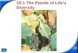 15-1 The Puzzle of Life's Diversity - Liberty Christian …classroom.libertychristian.com/ClassDocuments/17909/12Ch...15-1 The Puzzle of Life's Diversity Evolution is the process by
