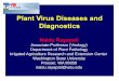 Plant Virus Diseases and Diagnostics · PDF fileTomato leaf curl New Delhi virus Bean common mosaic virus. ... Chilli veinal mottle virus ... deployment of control measures. BCMV-Bblk