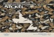 Mineral Commodities of - Department of Natural · PDF fileMineral Commodities of ... digested country-rock fragments (white areas) ... In all cases, the nickel is associated with significant