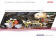 Ground Control Solutions for Tunneling and Mining - · PDF file · 2014-05-09Anchors, Rock Bolts, and Spiles Fields of Application The DYWI® Drill Hollow Bar System is used successfully