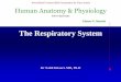 The Respiratory System -  · PDF fileHuman Anatomy & Physiology ... •Palatine tonsils lie in the lateral walls of the fauces •Lingual tonsil covers the base of the tongue