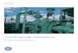 Print Layout 1 - Gemslgemsl.com/pdf/downstream/Rotoflow_Turboexpander Generator_Catalo… · The first turboexpander application for natural gas processing was ... pre-commissioning