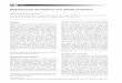 Megakaryocyte development and platelet productionwilliams.medicine.wisc.edu/thrombopoiesis.pdf · Megakaryocyte development and platelet production Varda R. Deutsch1 and Aaron Tomer2,3