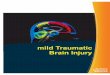 mild Traumatic Brain Injury - DCoEafterdeployment.dcoe.mil/sites/default/files/pdfs/library/eLibrary...mild Traumatic Brain Injury ... TBI often results in long-term nursing care and