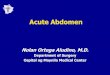 Acute Abdomen - Tripod.comn_aludino_gsj.tripod.com/s/CPD/2005/Acute Abdomen.pdf · Ł Resolve the perforation and peritonitis ... Ł 3 mm prepyloric perforation with noted ... Ł