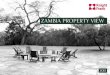 ZAMBIA PROPERTY VIEW - Microsoft · PDF fileWelcome to the second edition of Zambia Property View, ... Trucks, tractors, loading ... Prime land for sale on the banks of the Lower Zambezi